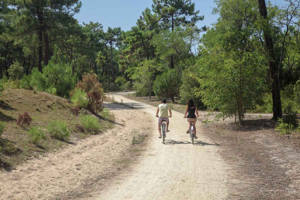bicycle paths near the campsite in the Vendée